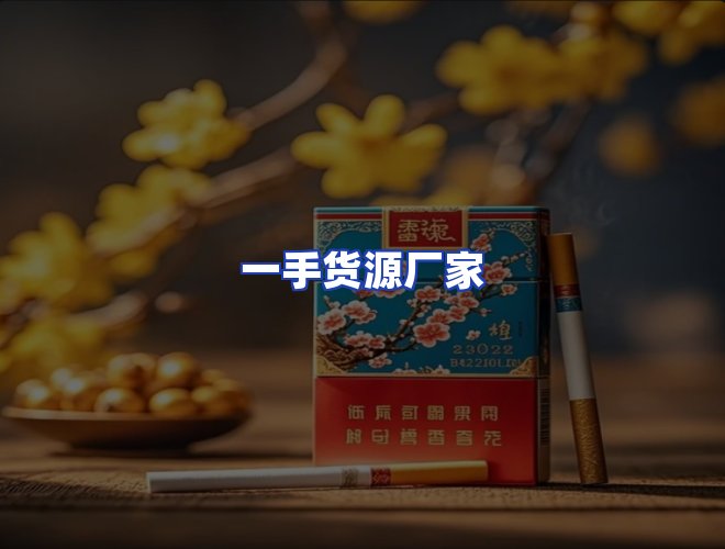 专业团队